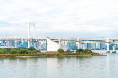 Tokyo siluetinin Tokyo kule ve Gökkuşağı Köprüsü ile. 