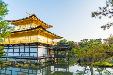 Kinkakuji Tapınağı (altın köşk güzel mimari)