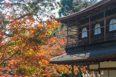 Gümüş Pavilion Ginkakuji Tapınağı'nda güzel mimari