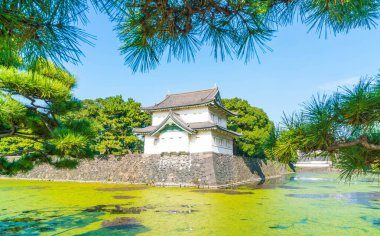Tokyo'da bina güzel İmparatorluk Sarayı