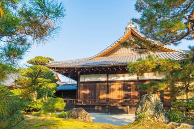 Kinkakuji Tapınağı (altın köşk güzel mimari)