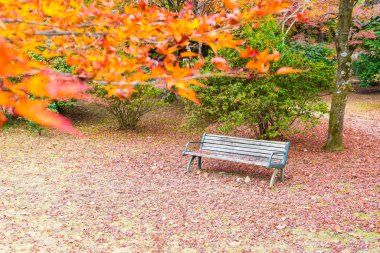 Arashiyama çiçek açan kırmızı akçaağaç yaprakları ile tezgah
