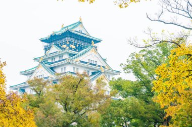 Osaka Kalesi, güzel mimari 