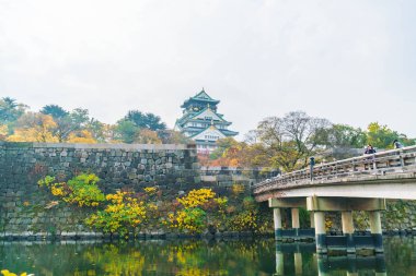 Osaka, Japonya - Kasım 20: Osaka Kalesi Park'ta kalabalık ziyaretçi. Ben