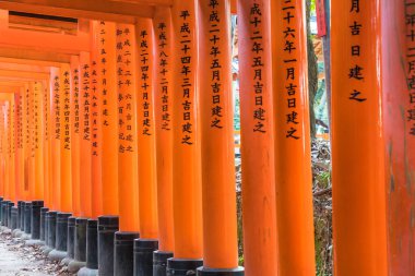 Kırmızı tori gate adlı fushimi Inari tapınak Kyoto, Japonya.