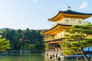 Kinkakuji Tapınağı (altın köşk güzel mimari)