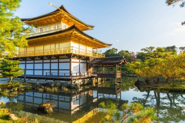 Kinkakuji Tapınağı (altın köşk güzel mimari)