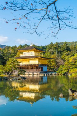 Kinkakuji Tapınağı (altın köşk güzel mimari)