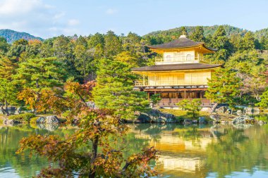 Kinkakuji Tapınağı (altın köşk güzel mimari)