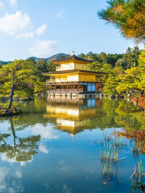 Kinkakuji Tapınağı (altın köşk güzel mimari)