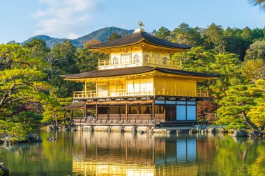 Kinkakuji Tapınağı (altın köşk güzel mimari)