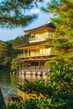 Kinkakuji Tapınağı (altın köşk güzel mimari)