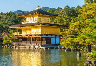 Kinkakuji Tapınağı (altın köşk güzel mimari)