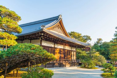 Kinkakuji Tapınağı (altın köşk güzel mimari)