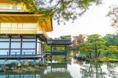 Kinkakuji Tapınağı (altın köşk güzel mimari)