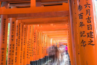 Kyoto, Japonya - 23 Kasım 2016: Yakın ağ geçitleri Fushimi Inari Tai içinde