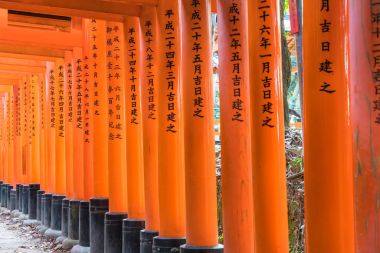 Kırmızı tori gate adlı fushimi Inari tapınak Kyoto, Japonya.