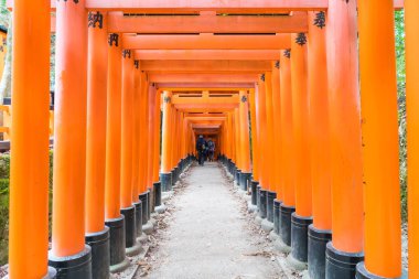 Kyoto - 24 Kasım 2016: Yakın ağ geçitleri Fushimi Inari Taisha Shr içinde