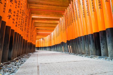 Kırmızı yakın gates geçit fushimi Inari taisha tapınak KY