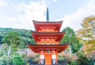 Kiyomizu-dera Tapınağı güzel mimari Kyoto,.