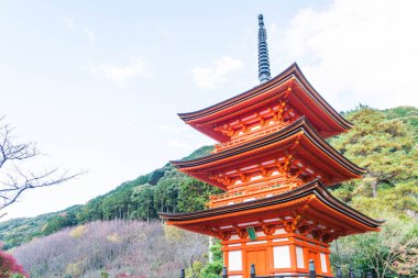 Kiyomizu-dera Tapınağı güzel mimari Kyoto,.