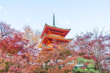 Kiyomizu-dera Tapınağı güzel mimari Kyoto,.