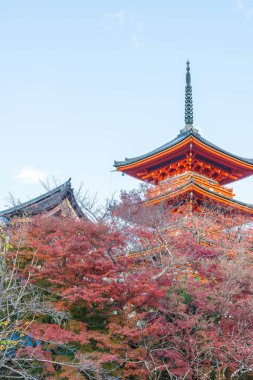 Kiyomizu-dera Tapınağı güzel mimari Kyoto,.