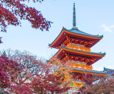 Kiyomizu-dera Tapınağı güzel mimari Kyoto,.