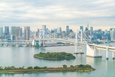 Tokyo siluetinin Tokyo kule ve Gökkuşağı Köprüsü ile. 