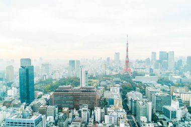 Tokyo şehir manzarası alacakaranlıkta