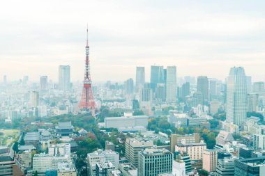 Tokyo şehir manzarası alacakaranlıkta