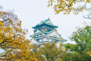 Osaka Kalesi, güzel mimari 