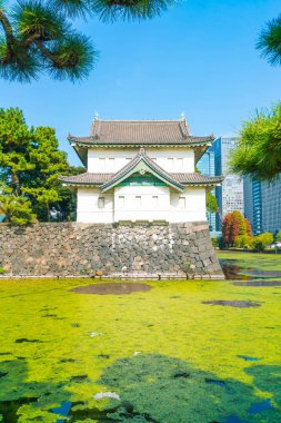 Tokyo'da bina güzel İmparatorluk Sarayı