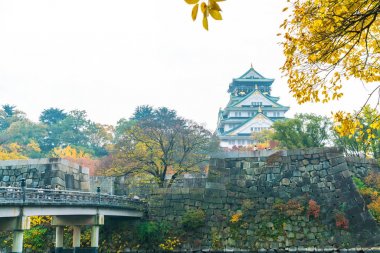 Osaka, Japonya - Kasım 20: Osaka Kalesi Park'ta kalabalık ziyaretçi. Ben