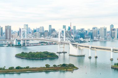 Tokyo siluetinin Tokyo kule ve Gökkuşağı Köprüsü ile. 