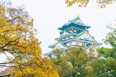 Osaka Kalesi, güzel mimari 