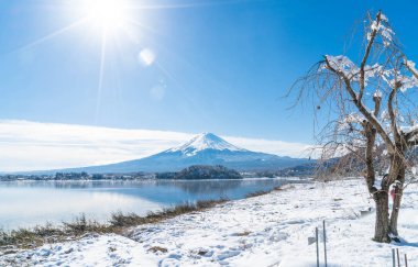 Dağ Fuji San Kawaguchiko Gölü.