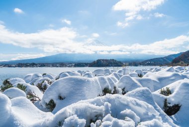 Dağ Fuji San Kawaguchiko Gölü.