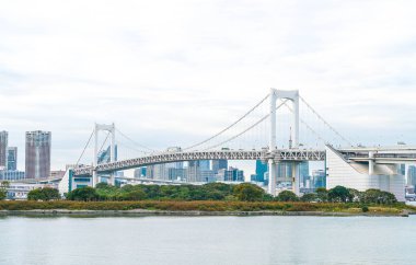 Tokyo siluetinin Tokyo kule ve Gökkuşağı Köprüsü ile. 