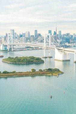 Tokyo siluetinin Tokyo kule ve Gökkuşağı Köprüsü ile. 