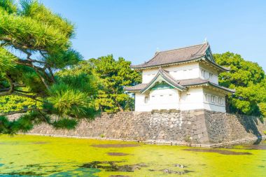 Tokyo'da bina güzel İmparatorluk Sarayı