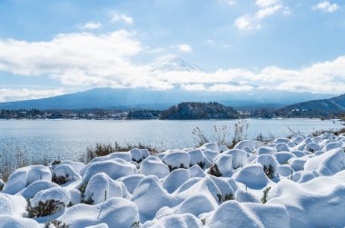 Dağ Fuji San Kawaguchiko Gölü.
