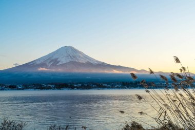 Dağ Fuji San Kawaguchiko Gölü.