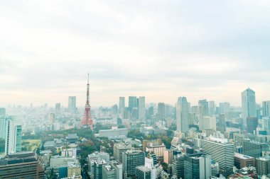 Tokyo şehir manzarası alacakaranlıkta