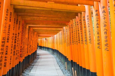 Kırmızı yakın gates geçit fushimi Inari taisha tapınak KY