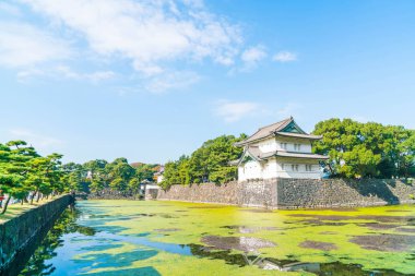 Tokyo'da bina güzel İmparatorluk Sarayı