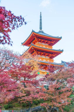 Kiyomizu-dera Tapınağı güzel mimari Kyoto,.