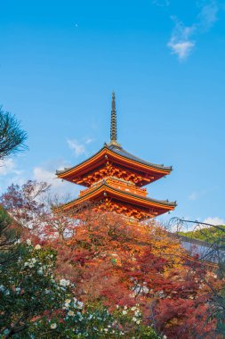 Kiyomizu-dera Tapınağı güzel mimari Kyoto,.