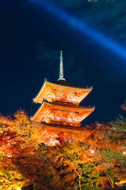 Kiyomizu-dera Tapınağı güzel mimari Kyoto.
