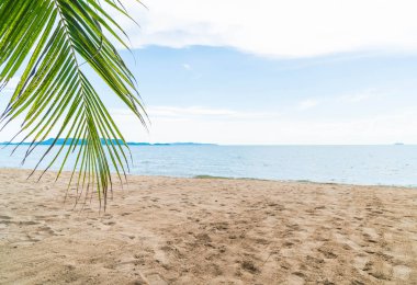 Pattaya Tayland'da palmiye ve tropikal plaj